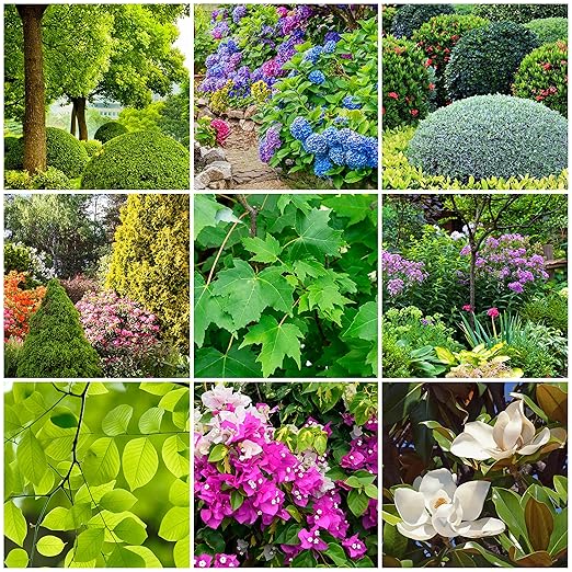 The Old Farmer's Almanac Tree &amp Shrub Fertilizer Spikes (Box of 12 Spikes - 3 Lbs)