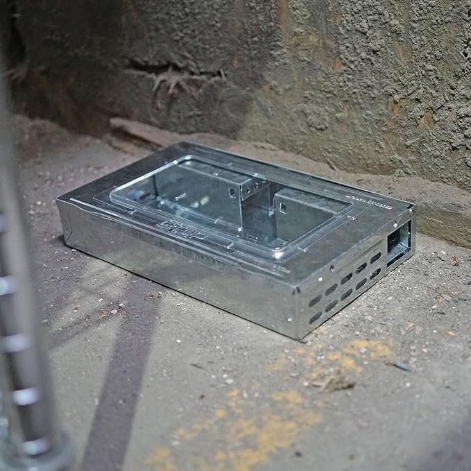 iTrap Multi-Catch Humane Mouse Trap with Clear Top | Repeater Mouse Trap for Home &amp Office | Set of 3 - iTrap-002-S4-3PK