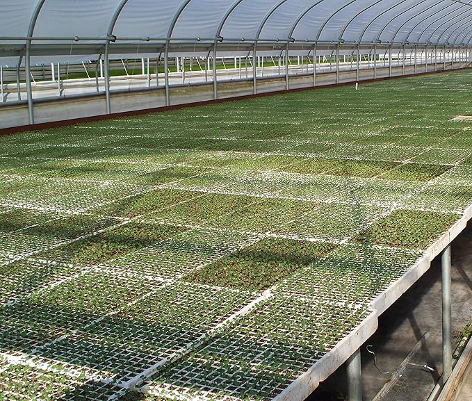RSI Hydroponic Seed Trays 242 Plugs 2 Pack