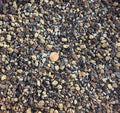 Cali-Bon Premium Mixed Akadama Bonsai Soil with Coarse Sand Maifan Stone Mycorrhizae &amp Red Lava - Medium Grain (2 gal.)