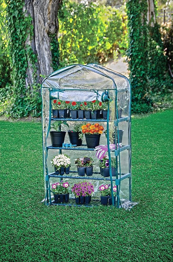 Bloom Small Greenhouse