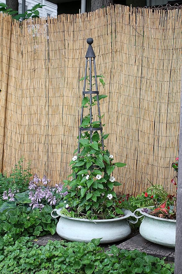 Achla Designs OBL-01A Garden Obelisk 61 H Trellis Graphite