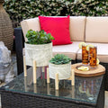 8 Planter W Wood Stand Green Mix
