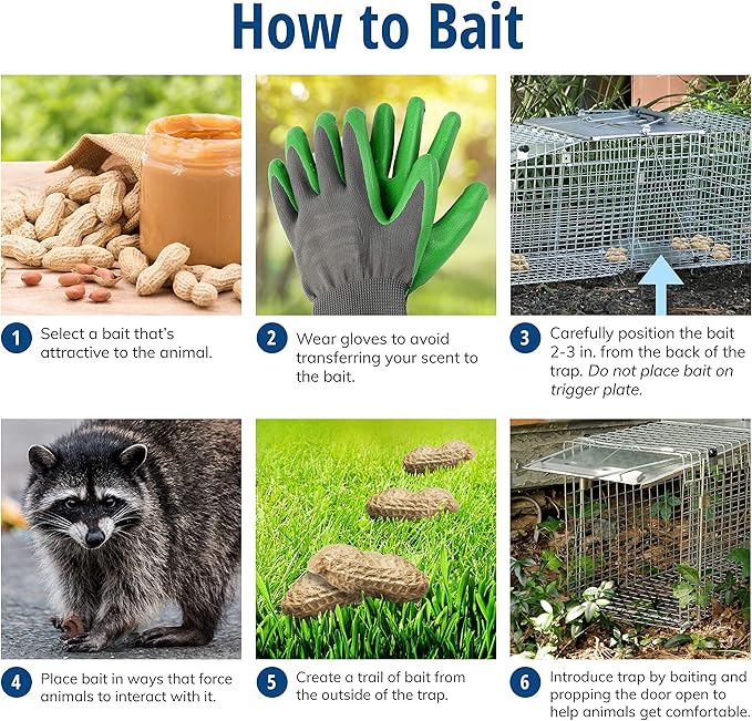 Havahart Large 2 Door Humane Catch and Release Live Animal Trap for Armadillos Beavers Bobcats Small Dogs Cats Foxes Groundhogs Nutria Opossums Raccoons Live Catch Trap for Stray Dogs 1045SR