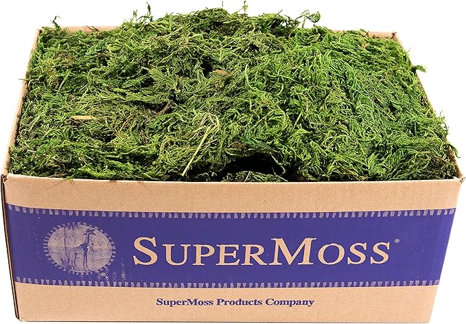 SuperMoss (25325) Forest Moss Preserved Fresh Green 3 Pounds