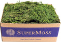 SuperMoss (25325) Forest Moss Preserved Fresh Green 3 Pounds