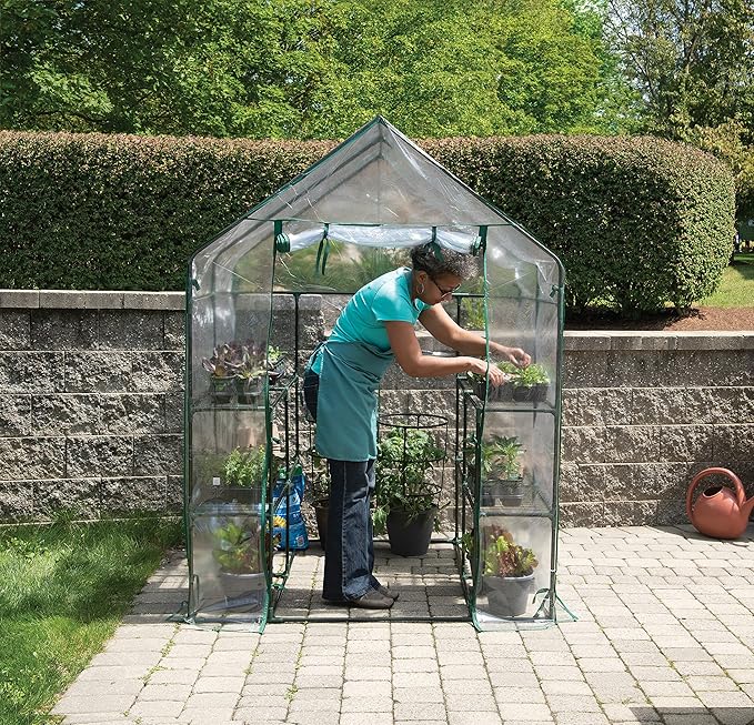 ShelterLogic 4'8 x 4'8 x 6'5 GrowIT Small Walk-in Greenhouse with 8 Wire Shelves for Outdoors Easy-Access &amp Durable