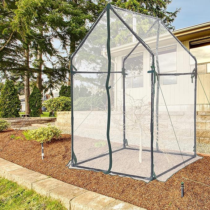 Gardzen Mini Greenhouse Heavy Duty Portable Green House Clear Tent Small Greenhouse for Indoor Outdoor Plants 36.2”(L) x36.2”(W) x59.5”(H)