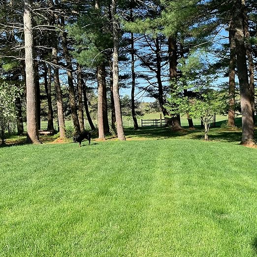 Purely Organic Products Lawn Food 10-0-2 15 LB (Covers 3000 Square Feet)