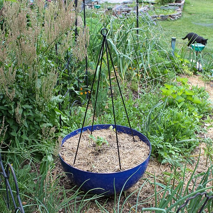 Container Trellis Pack of 2