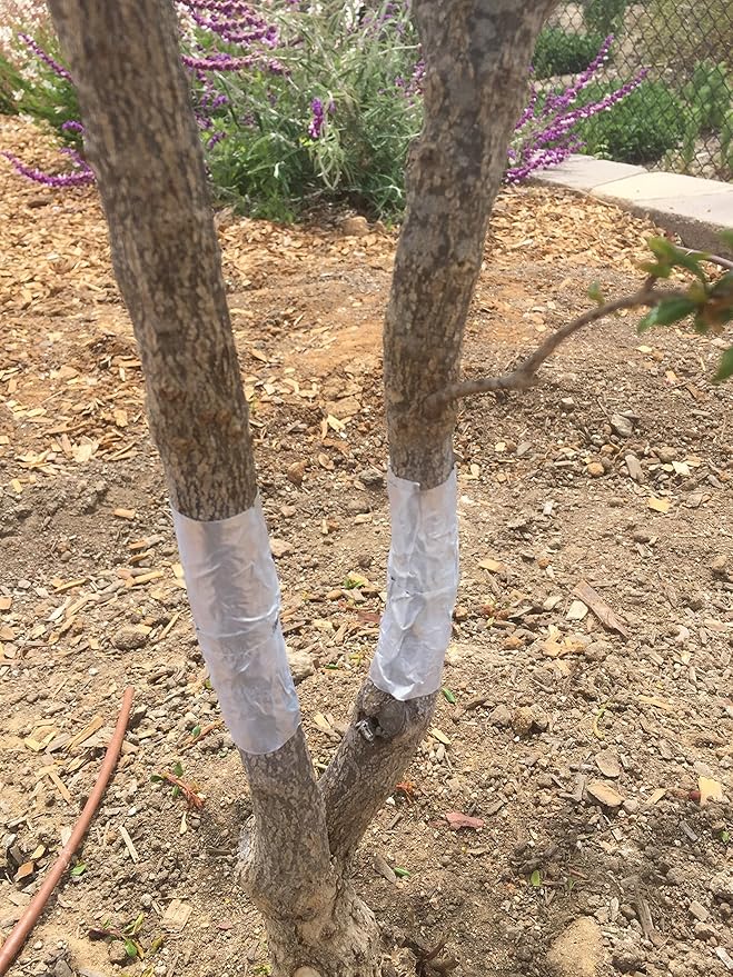 AntCant-ant Barrier Coating. Ants Can't get a Grip on Treated Inclined Smooth Surfaces. After Failing to Climb They give up and go Away