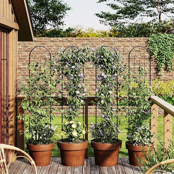 4 Pack 55.1x11.8 in Garden Trellises for Climbing Plants Sturdy Plant Trellises with Black Metal Coating Arched Outdoor Decoration for Patio Lawn Roses Vines Flowers and Vegetables