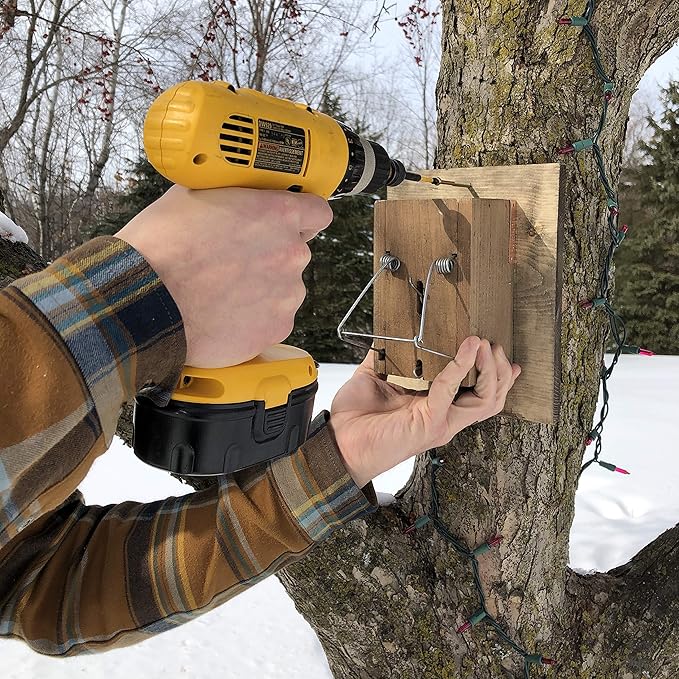 Squirrel Trapping Starter Kit | All You Need to Get Rid of Squirrel Chipmunk Removal in Home Bird Feeder Attic Yard | Little Killer Choker Style Trap + Squirrel Butter + Jelly + Trail Mix Baits