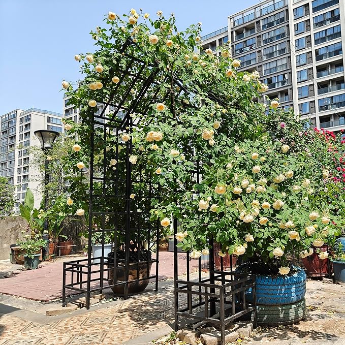 Metal Garden Arch Trellis for Climbing Plants Adjustable Width 68.11 to 94.29 Outdoor Rose Arbor with Flat Top Ceremony Decoration Archway for Wedding Events Lawn Patio Decor