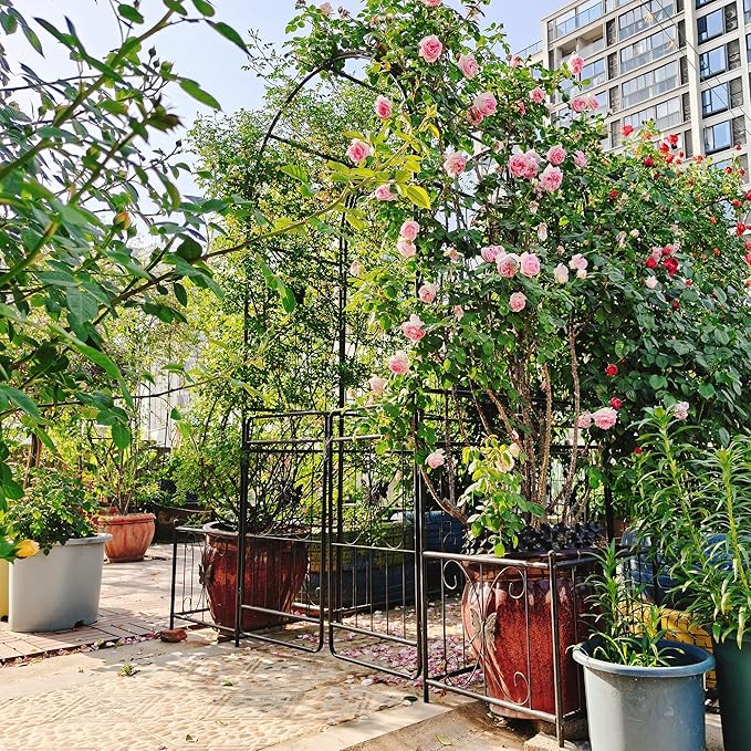 86''H Metal Garden Arch Rustproof Garden Arbor Trellis with Two Plants Stand and Gate 0.63'' Dia Galvanized Tube Plant Trellis for Climbing Plants Rose Jasmine (Black)