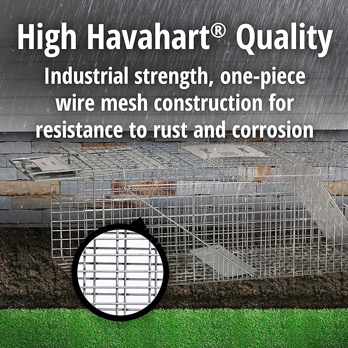 Havahart Large 2 Door Humane Catch and Release Live Animal Trap for Armadillos Beavers Bobcats Small Dogs Cats Foxes Groundhogs Nutria Opossums Raccoons Live Catch Trap for Stray Dogs 1045SR